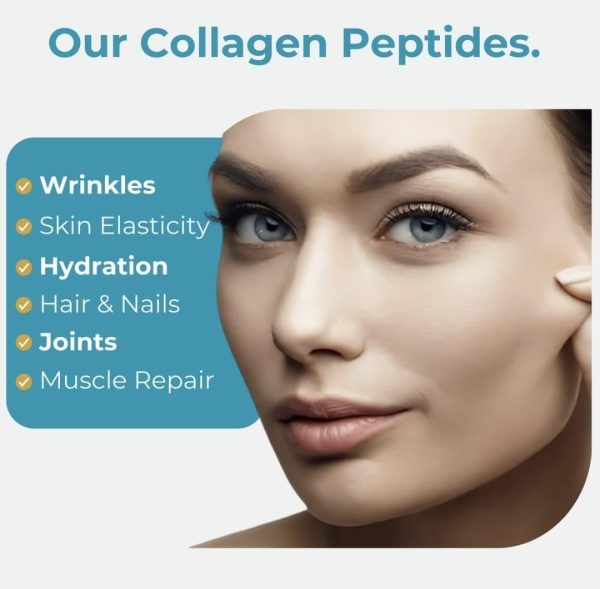 Collagen Peptides Powder